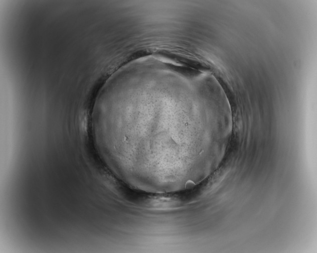 X0000094780315200711301551