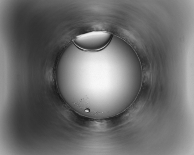 X0000094780317200711301551