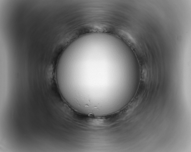 X0000094780318200711301551