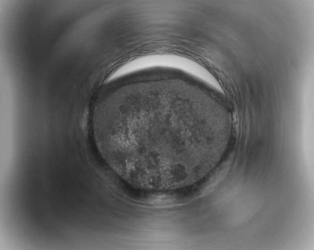 X0000094780319200711301551