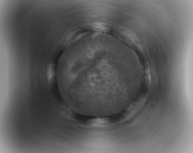 X0000094780320200711301551