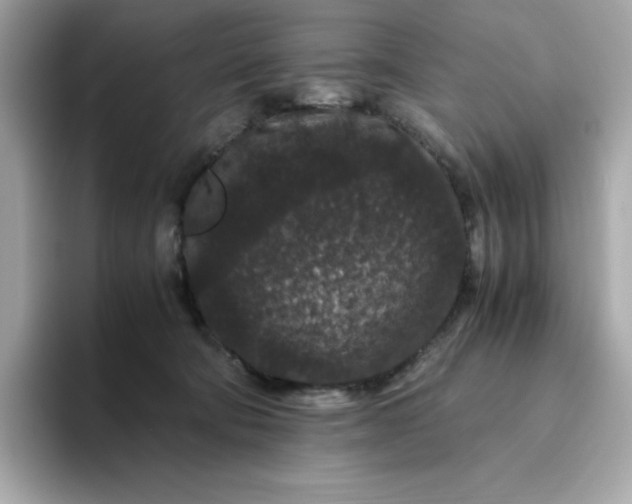 X0000094780322200711301551