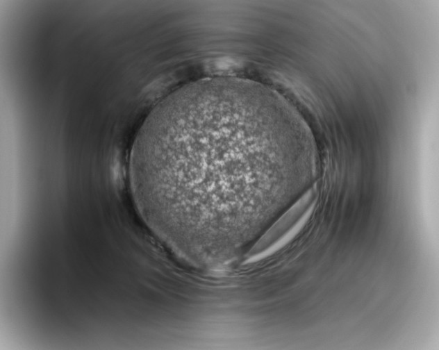 X0000094780324200711301551