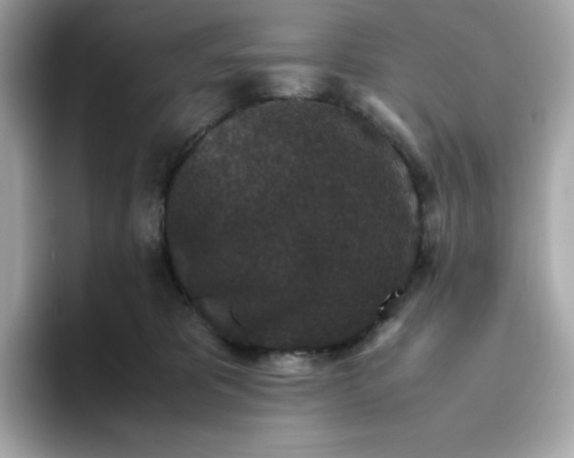 X0000094780325200711301551