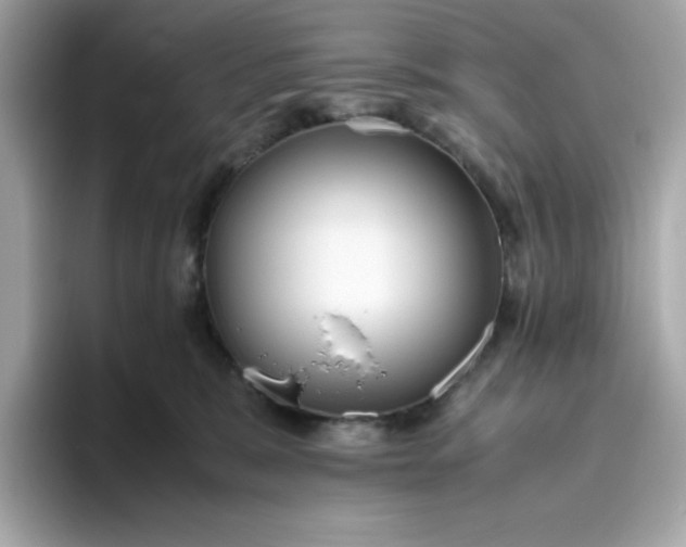 X0000094780327200711301551