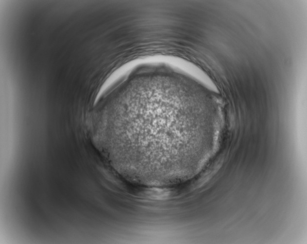 X0000094780328200711301551