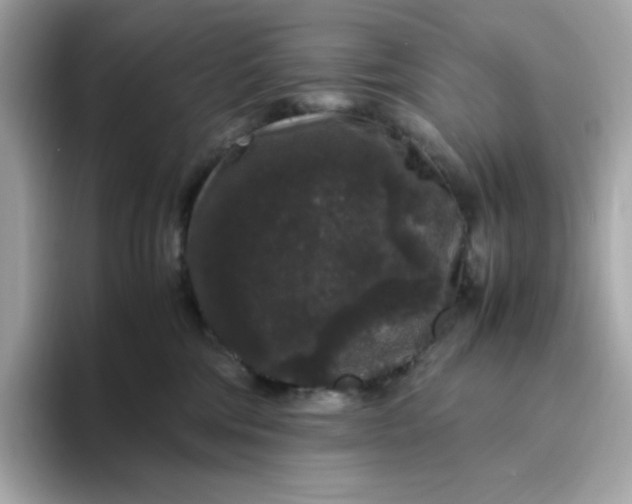 X0000094780330200711301551