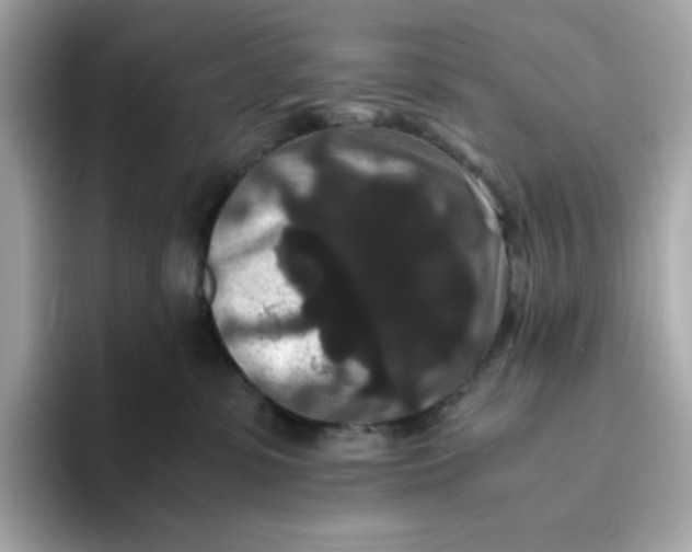 X0000094780331200711301551