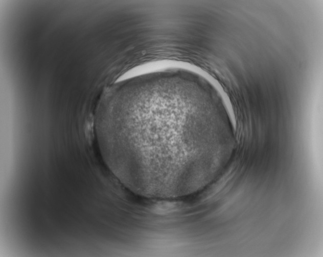 X0000094780332200711301551