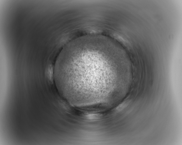 X0000094780336200711301551