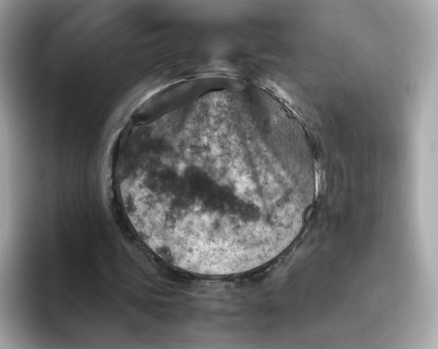 X0000094780339200711301550