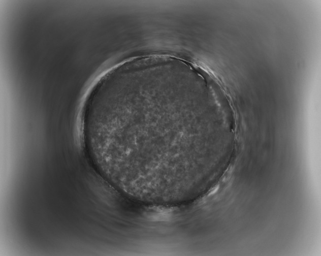 X0000094780343200711301550