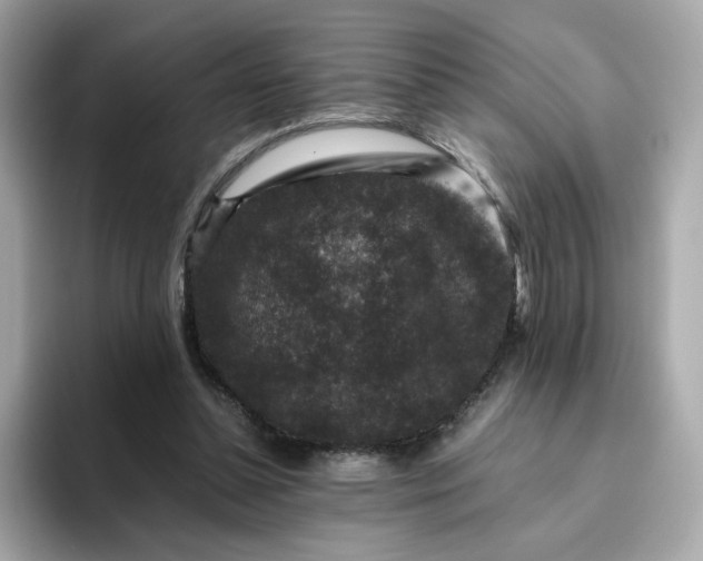 X0000094780348200711301550