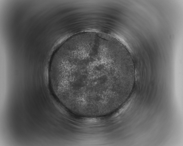 X0000094780349200711301551