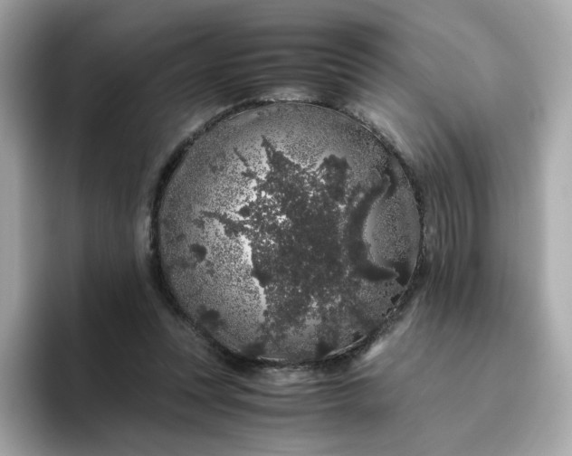 X0000094780351200711301551
