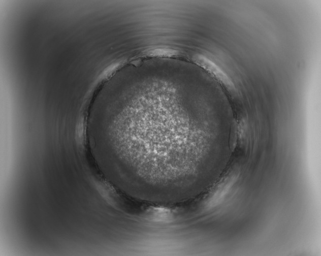 X0000094780352200711301551