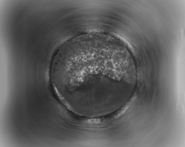 X0000094780353200711301551