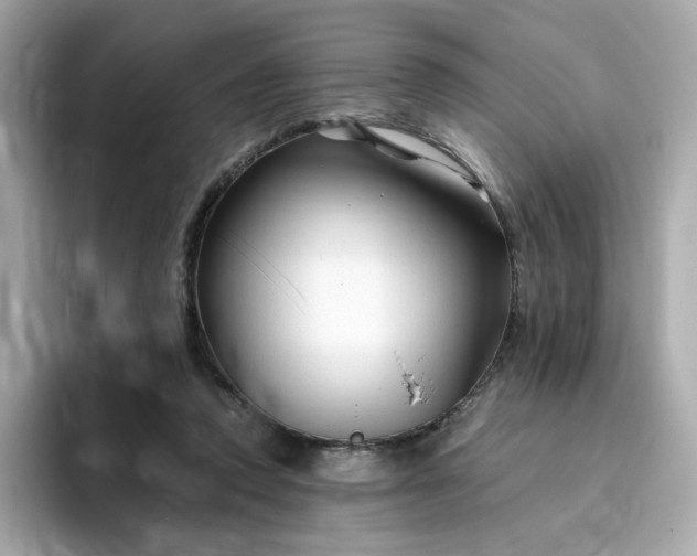 X0000094780354200711301551