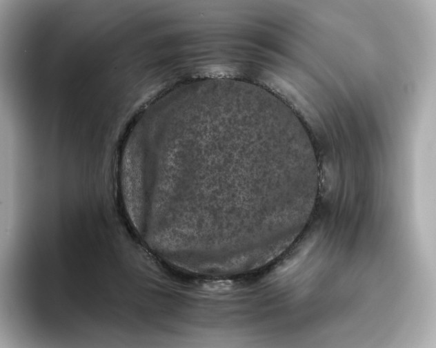 X0000094780355200711301551