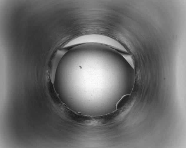 X0000094780356200711301551