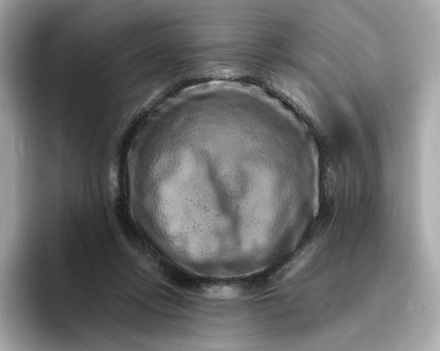 X0000094780358200711301551