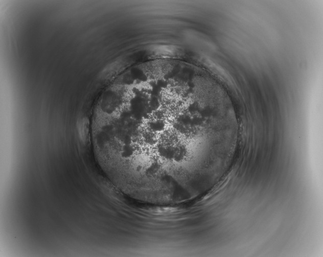 X0000094780361200711301551