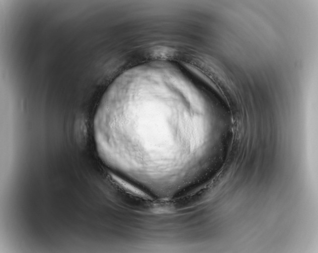 X0000094780363200711301551