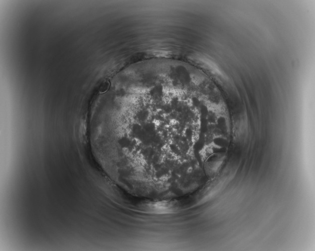 X0000094780365200711301551
