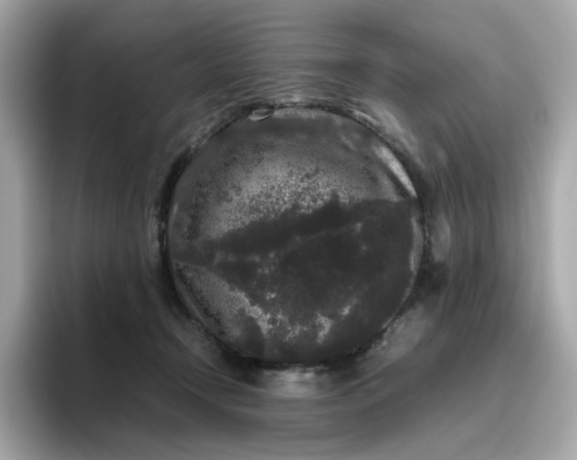 X0000094780366200711301551