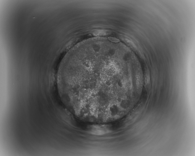 X0000094780367200711301551