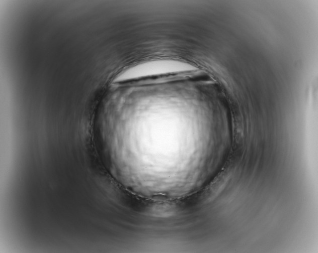 X0000094780369200711301551