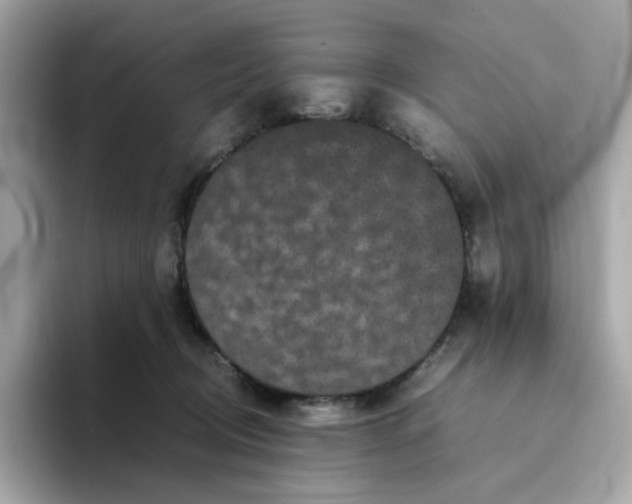 X0000094780370200711301551