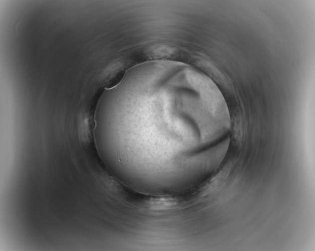 X0000094780378200711301551