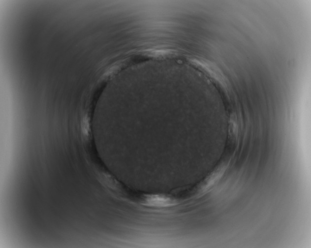 X0000094780380200711301551