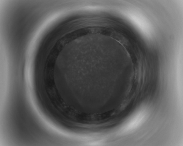 X0000094780383200711301551