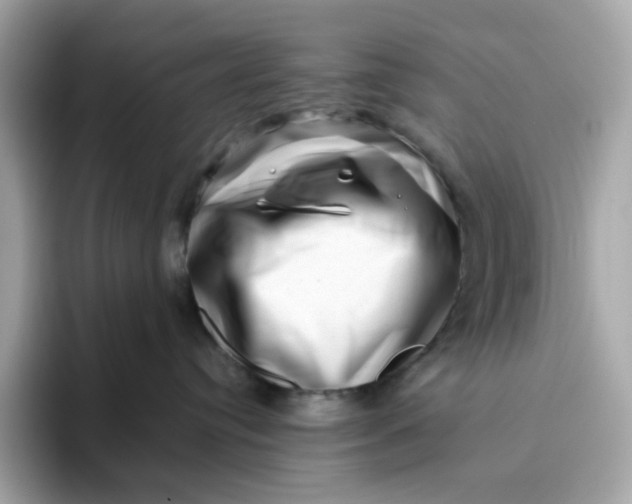 X0000094780384200711301551