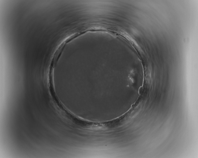X0000094780386200711301550