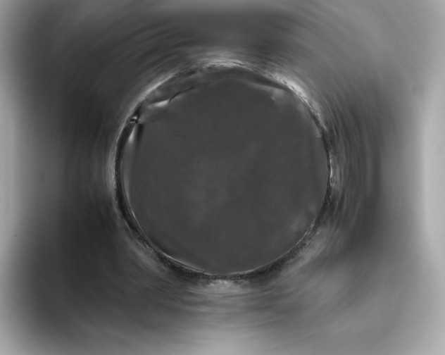 X0000094780390200711301550