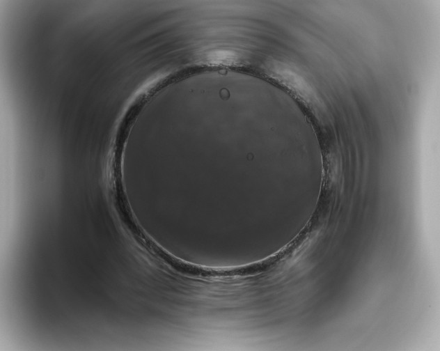 X0000094780392200711301550