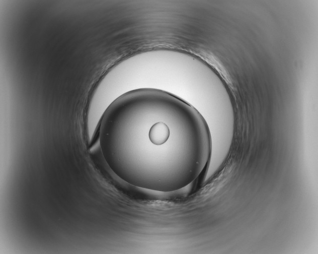 X0000094780393200711301550