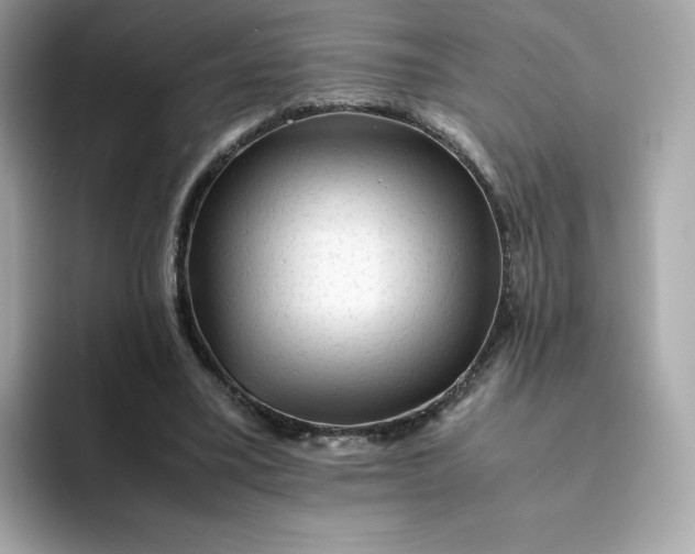 X0000094780395200711301550