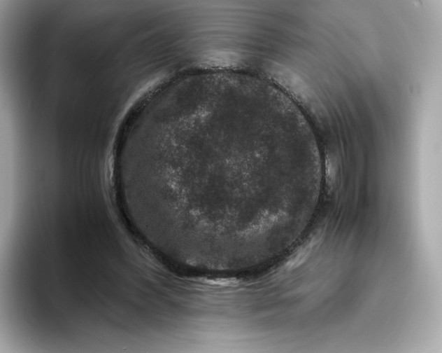X0000094780396200711301550