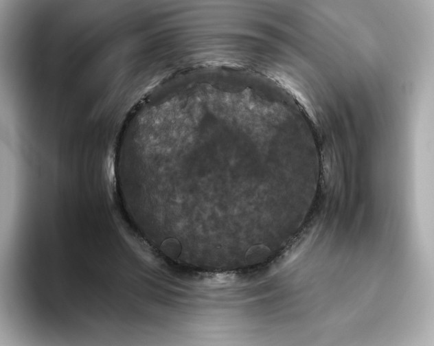X0000094780398200711301550