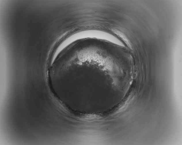 X0000094780399200711301550