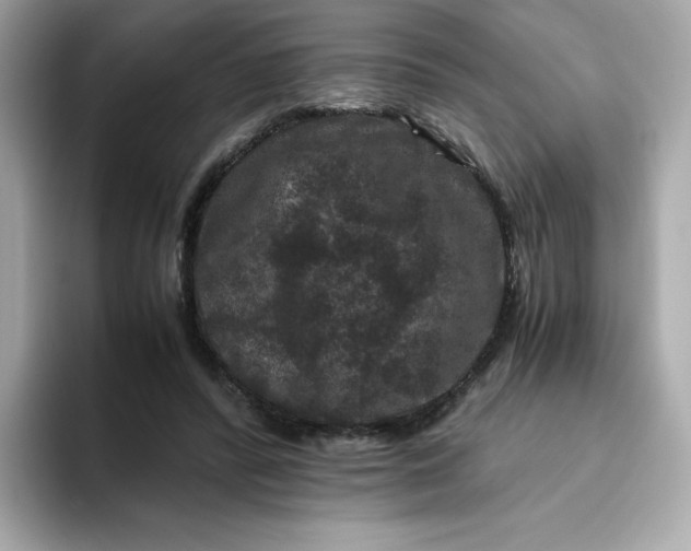 X0000094780400200711301550
