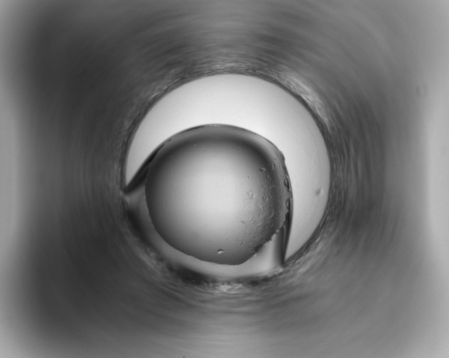 X0000094780401200711301550