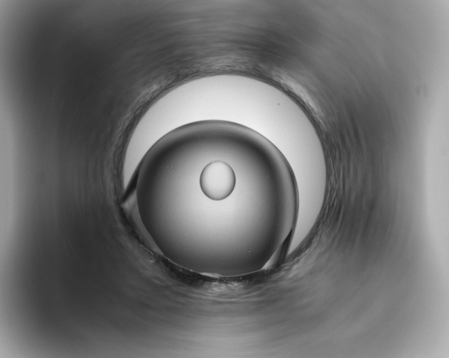 X0000094780403200711301550
