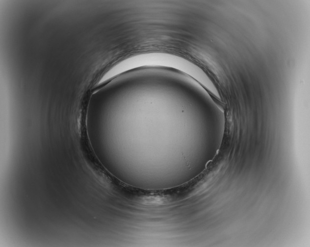 X0000094780404200711301550