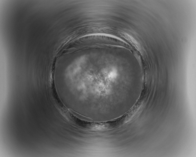 X0000094780405200711301550