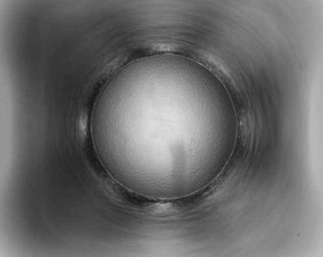 X0000094780406200711301550